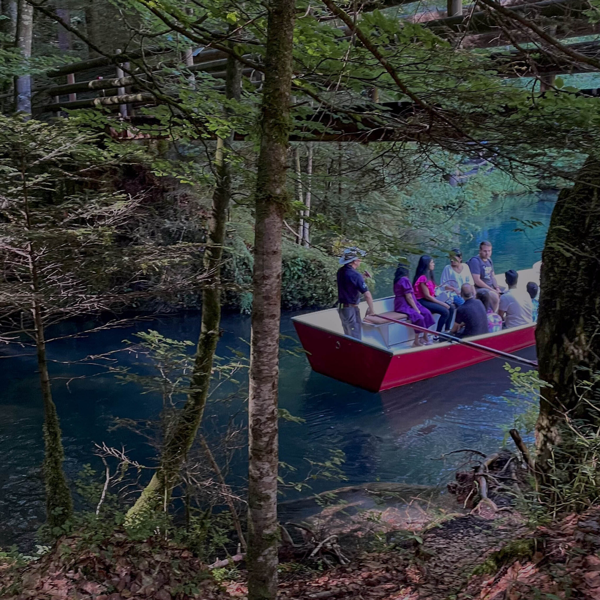 The Ultimate Guide to a Day Trip to Lake Blausee