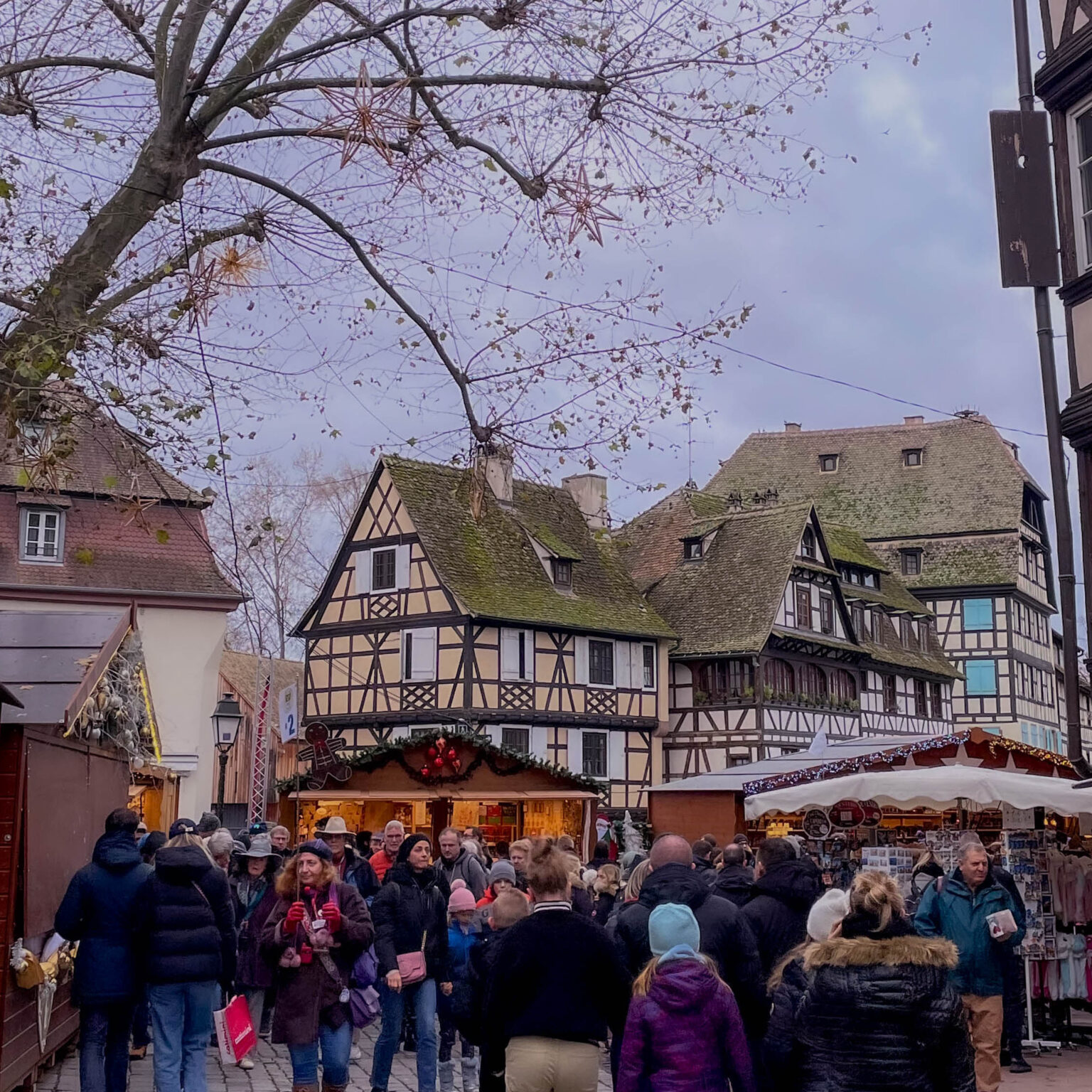 The Ultimate Guide for a Christmas trip to Strasbourg, Alsace